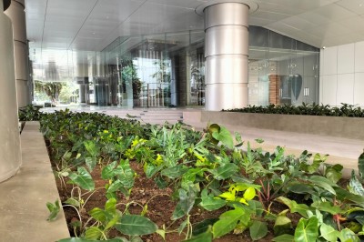 The Grand | Apartment for Rent in Colombo 7-3