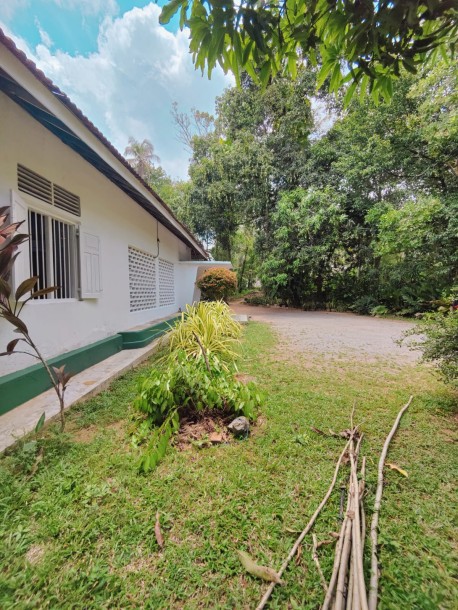 Massive Land for Sale in  Veyangoda-1