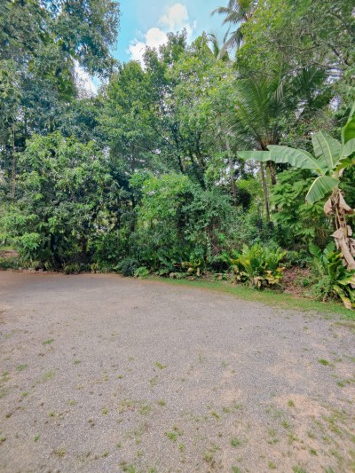 Massive Land for Sale in  Veyangoda-7
