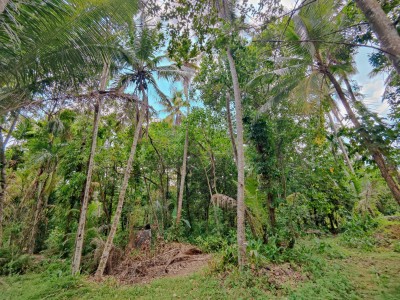 Massive Land for Sale in  Veyangoda-2