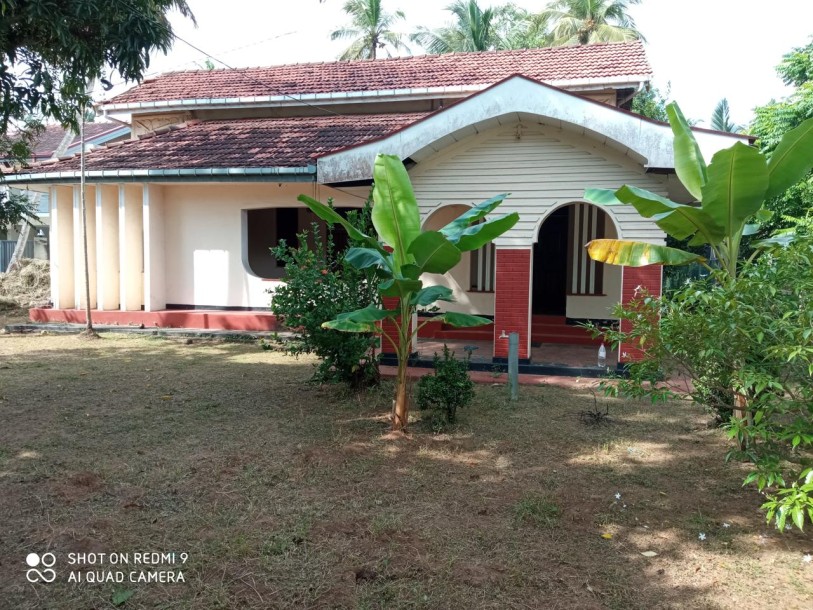 Commercial Property for Rent in Wennappuwa.-4