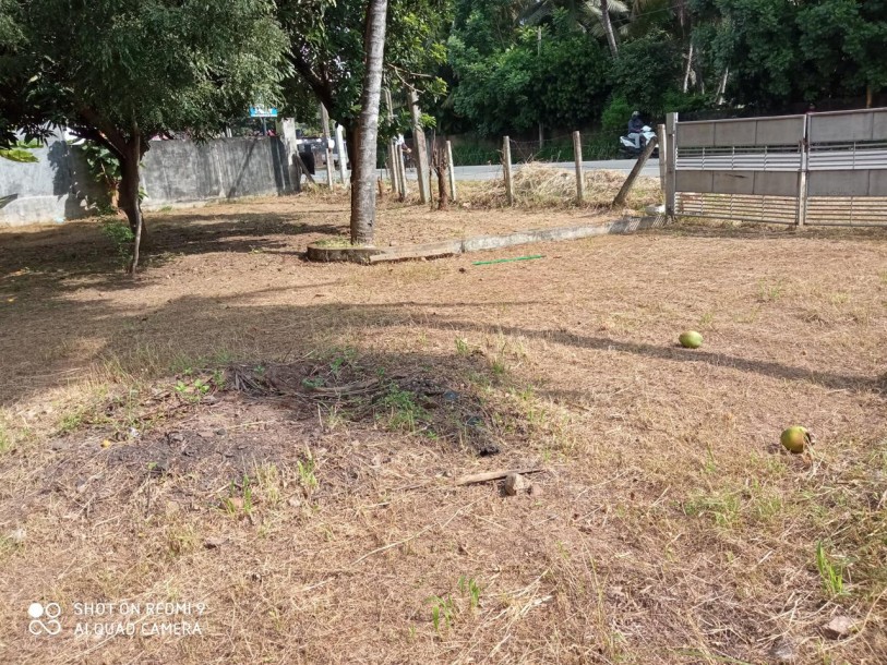 Commercial Property for Rent in Wennappuwa.-1