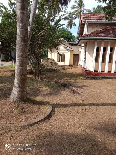 Commercial Property for Rent in Wennappuwa.-2