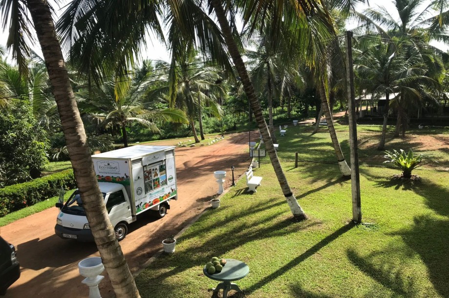 Farm for Sale in Kurunegala-1