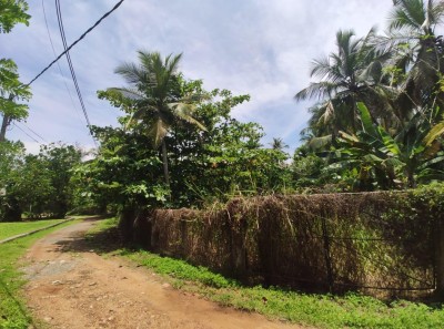 Land for Sale in Kosgoda-3