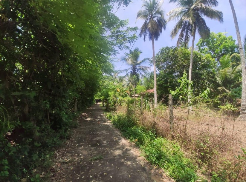 Land for Sale in Kosgoda-2