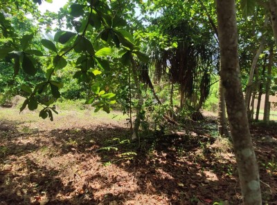 Land for Sale in Kosgoda