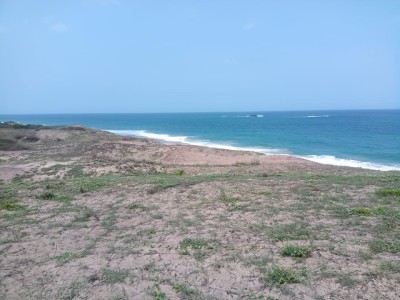 Beachfront Land for Sale