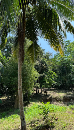 Land for Sale in Unawatuna, Talpe | Price LKR 45 Million (LA4673)-1