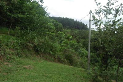 Stunning Estate Land for sale in Kandy