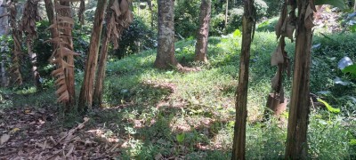 *Prime Land for Sale in Kandy