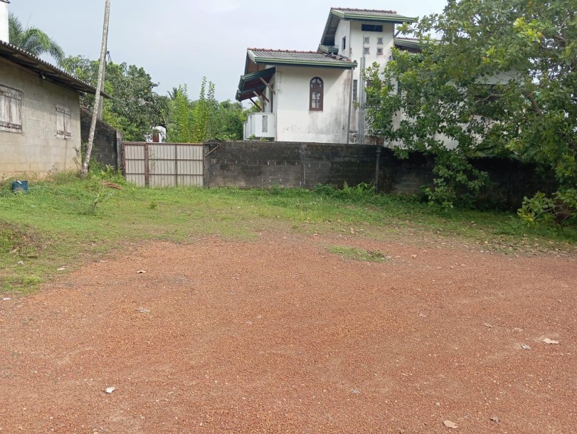 Massive land for sale in Homagama-1
