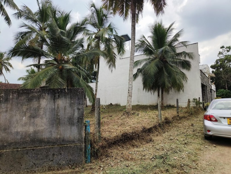 2 Adjacent lands for Sale in Thalawathugoda- 14.7 perches-1