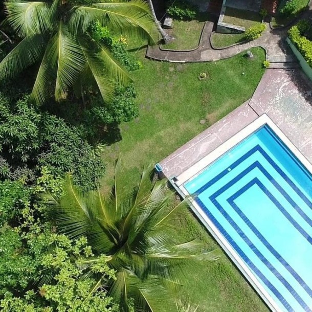6-Acre Nature Resort for Sale: an investment Opportunity in Sri Lanka 🌿-3