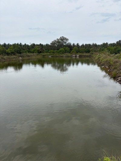 Commercial Land for sale in Chilaw-4