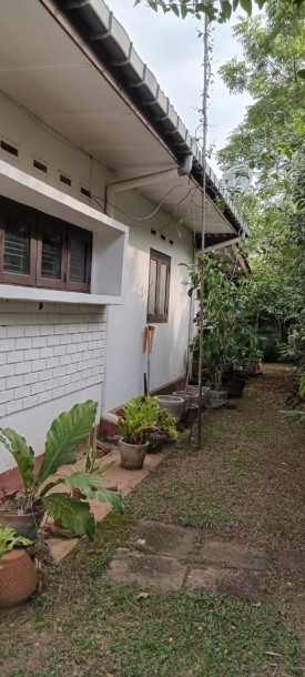 House For Sale in Borupana  Road Rathmalana-1