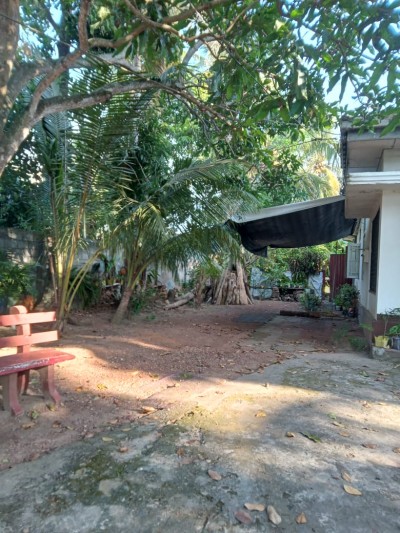 Bungalow for Sale in Panadura for land value - 50 perches-4
