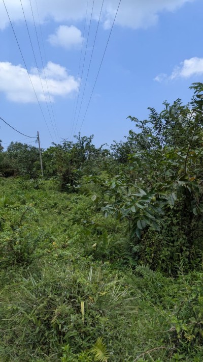 Massive Land for Sale in Galle