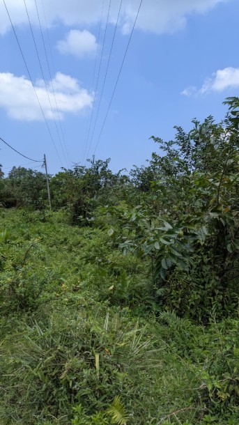 Massive Land for Sale in Galle-1