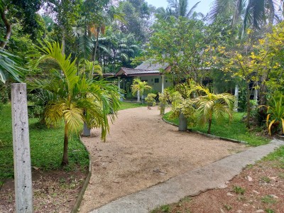 Land for Sale in Gampaha-9