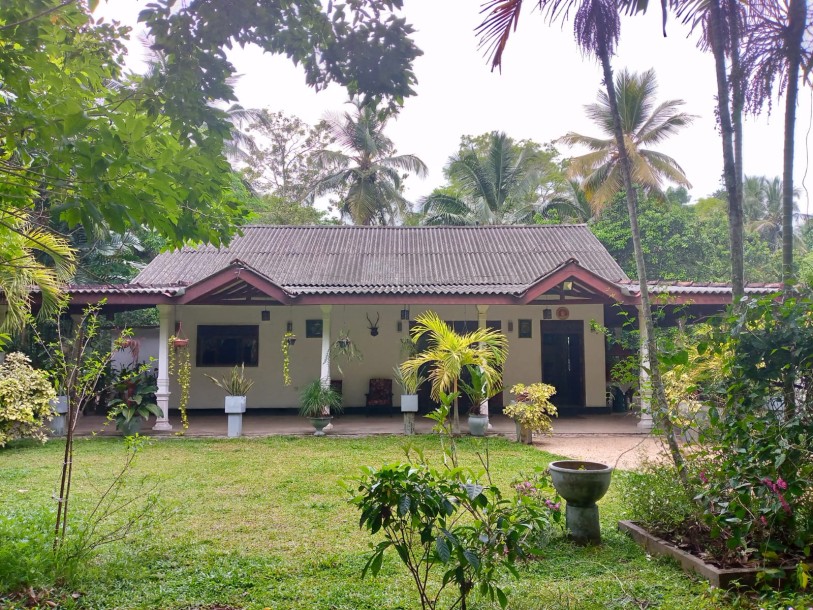 Land for Sale in Gampaha-1