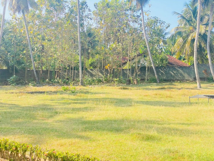 Land for sale in Kochchikade-1