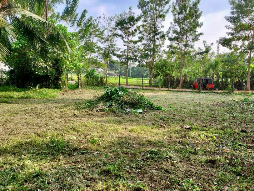Land for Sale in Malabe-1