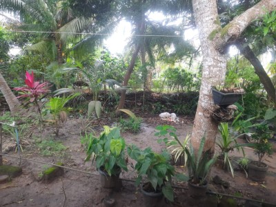 Land with old house for sale in Tangalle-3