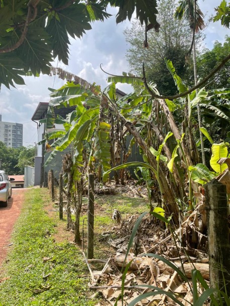 Land for Sale-5