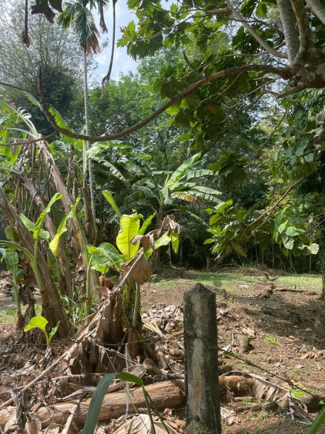 Land for Sale-4