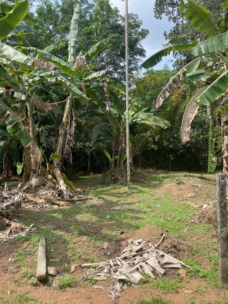 Land for Sale-3
