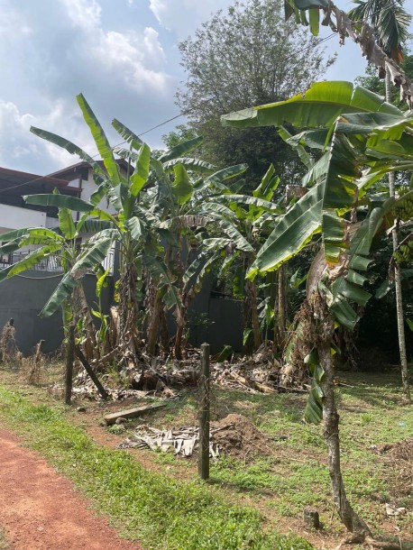 Land for Sale-2