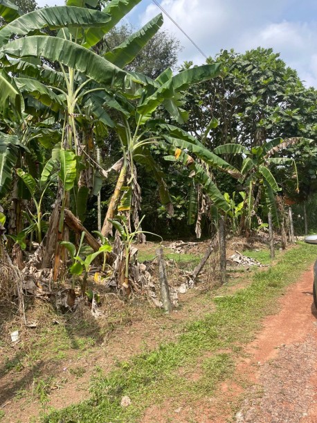 Land for Sale-1