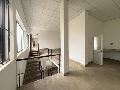 Commercial House for Rent in Colombo 7-7