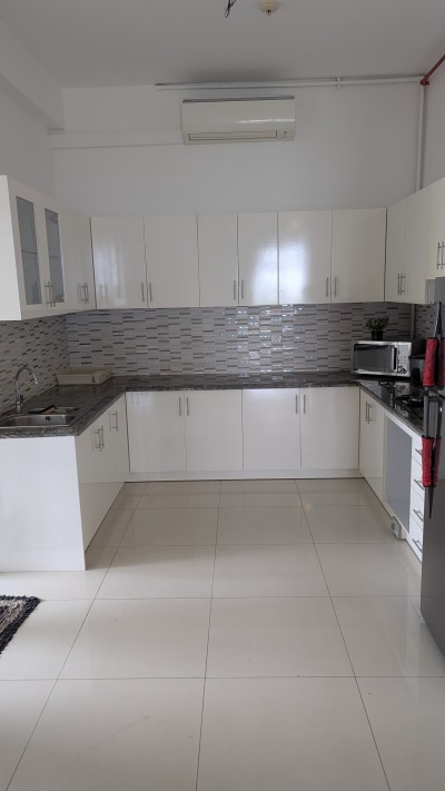 Furnished New Apartment for rent at Rajagiriya-6