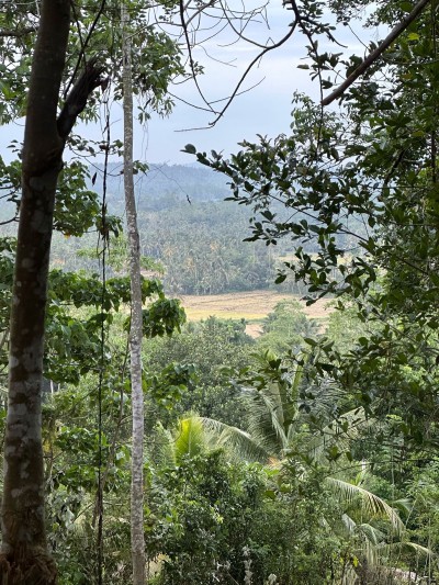 Land for Sale – Ahangama (3km to Beach)-5