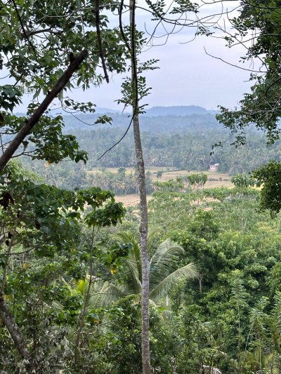 Land for Sale – Ahangama (3km to Beach)-2