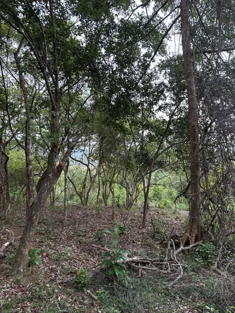 Land for Sale – Ahangama (3km to Beach)-1