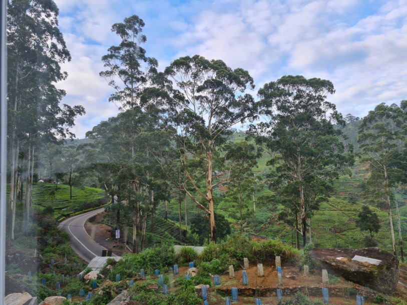 Bungalow for Sale In Nuwaraeliya-8