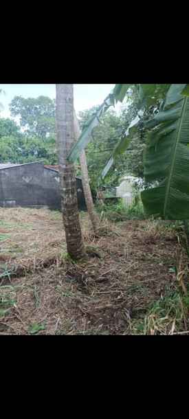 Land For Sale in Piliyandala-2