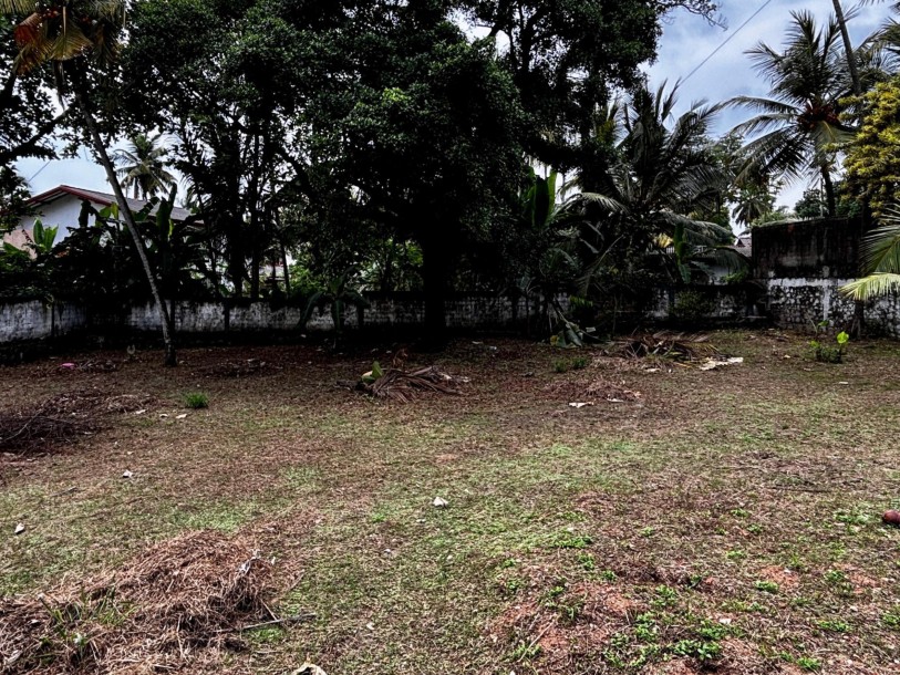 Land for Sale in Makola-1