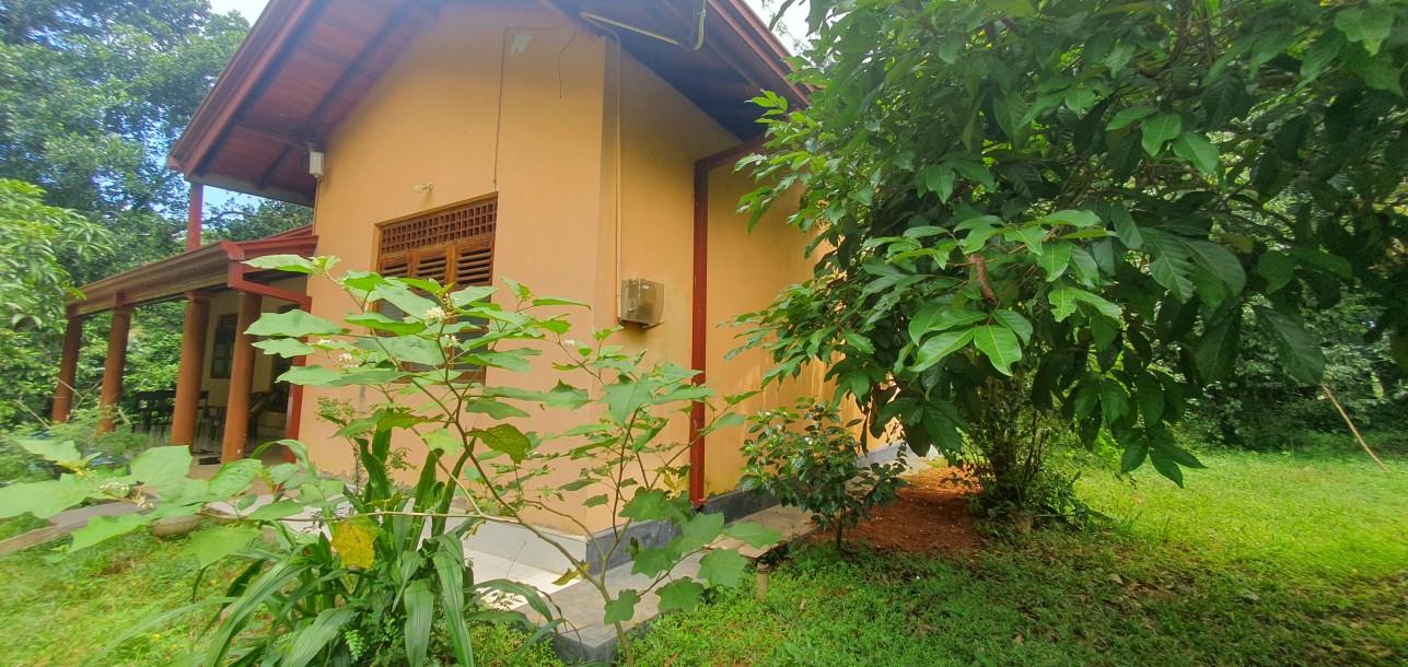 Spacious 6-Room House for Sale in Dompe-1