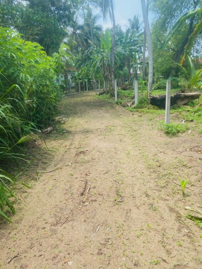 Land for Sale in Wadduwa-3