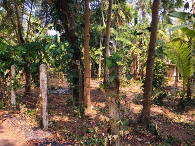 Land For Sale in Jaela-4