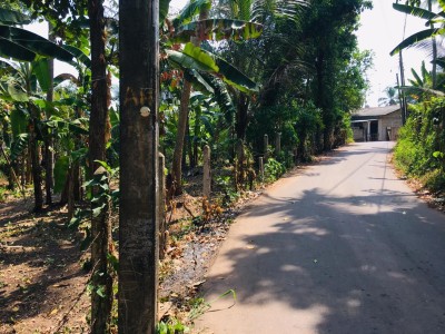 Land For Sale in Jaela-3