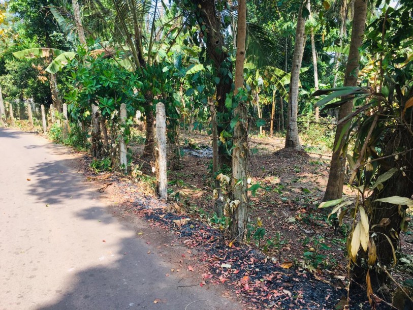 Land For Sale in Jaela-1