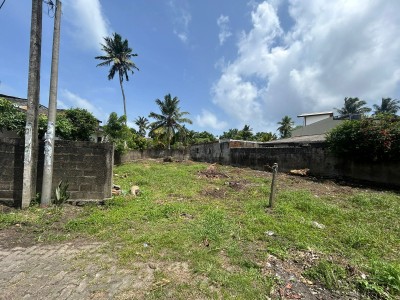 Bare Land for Sale in Moratuwa