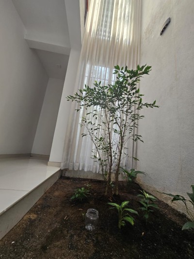 Modern 4 Bedroom House for Sale in Piliyandala | LKR 59 Million (Negotiable) 🏡☀️-18