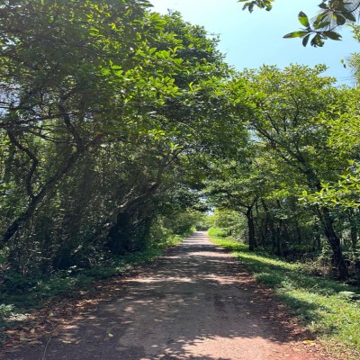 Land for Sale in Unawatuna-4