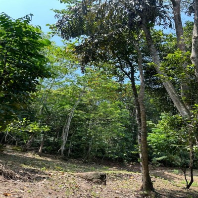 Land for Sale in Unawatuna